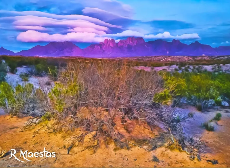 Profile Background