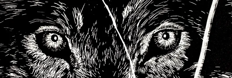 Profile Background