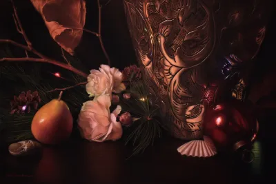 Solace Of The Forgone Seasons