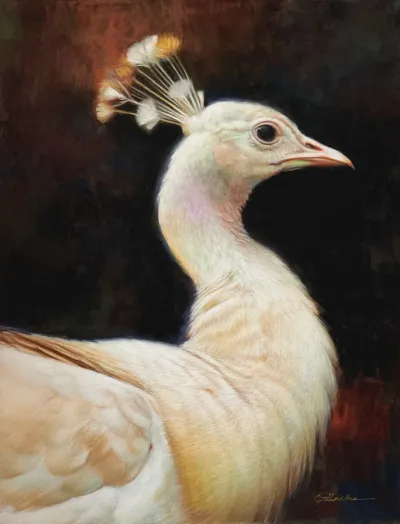 Pavo Royale