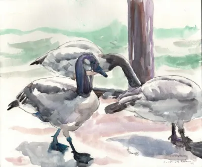 Geese by the Water