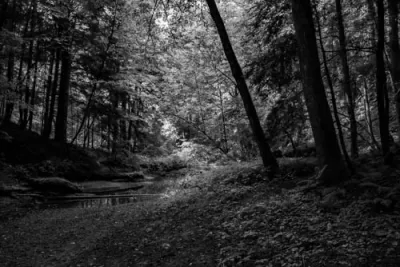Old Man’s Cave, Hocking Hills State ParkOhio