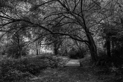 Kinnikinnick Fen, Ross County, Ohio